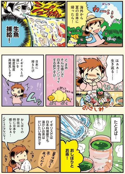 生魚補給！