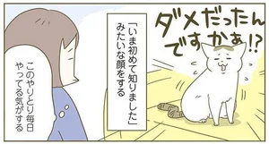 実に4年間行われているやりとりですが!? 爪とぎ禁止のお叱りに無知をアピールする猫／うちの猫がまた変なことしてる。4（2）