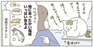 他にもあったかいところあるよ！ ひんやり冷たいPCの上で丸くなる猫／うちの猫がまた変なことしてる。4（3）