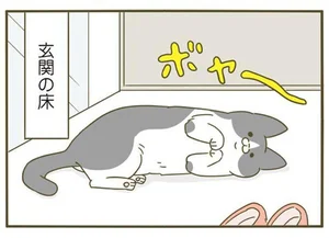 少しでも涼しいところを欲する！ そこら中で猫が転んでる季節／うちの猫がまた変なことしてる。4（4）