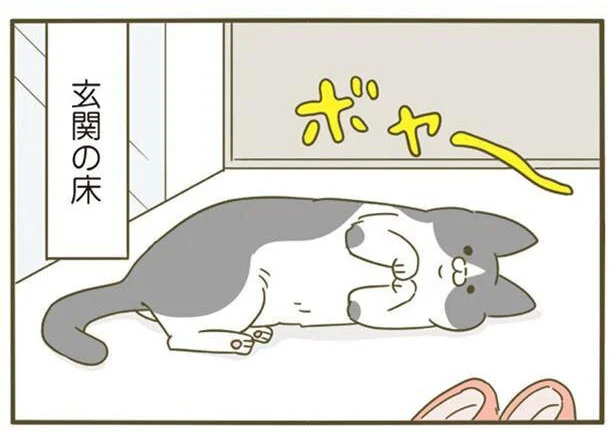 玄関の床でボヤー