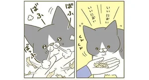 消えたねえ、不思議だねえ。鰹節を前に興奮のあまり鼻息を荒くした猫の悲劇／うちの猫がまた変なことしてる。4（6）