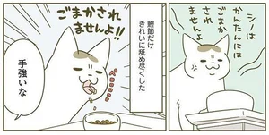 いつものフードを切らしてしまった！ 飼い主の秘策に誤魔化される猫とそうでない猫／うちの猫がまた変なことしてる。4（7）