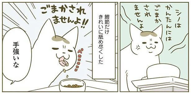 シノはかんたんにはごまかされませんよ