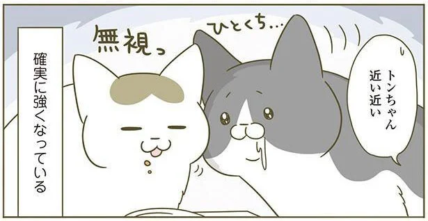 無視っ!