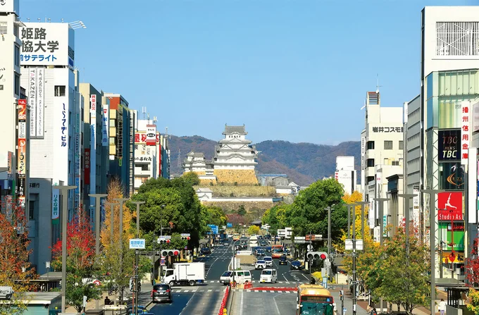 歴史ある街ならではの地域の祭や催しも多彩