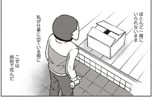 「私、クソ馬鹿だ」ずっと後悔している先代猫の看取りのとき／ポッケの旅支度(1)