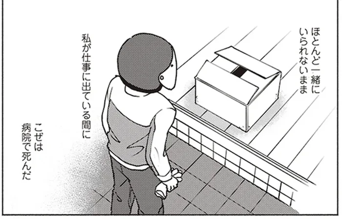 「私、クソ馬鹿だ」ずっと後悔している先代猫の看取りのとき／ポッケの旅支度(1)