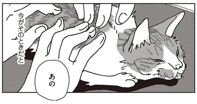 病院で診てもらうのはこれで終わり。猫らしくいられることを大切にした最期の時間／ポッケの旅支度(2)