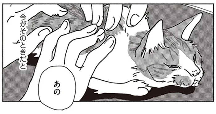病院で診てもらうのはこれで終わり。猫らしくいられることを大切にした最期の時間／ポッケの旅支度(2)
