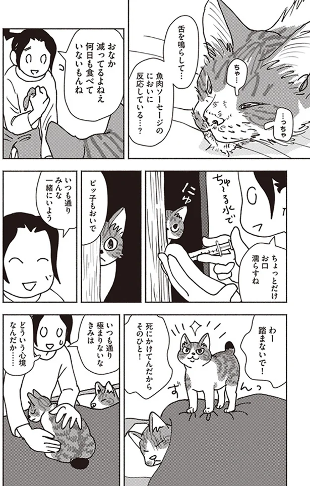 踏まないで！