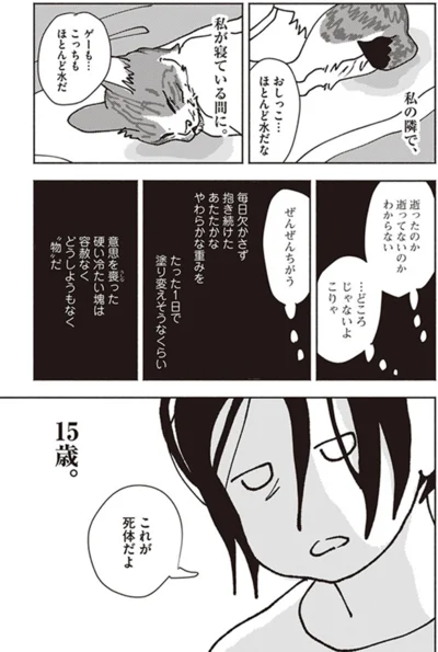 ぜんぜんちがう