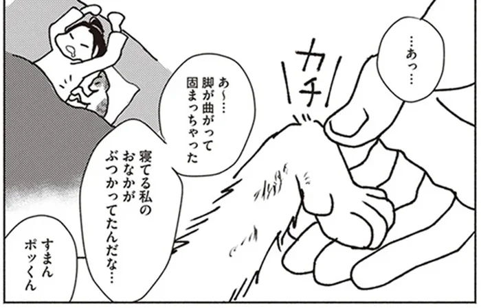 私にくっついてたんだね。愛猫の冷たくなった脚が教えてくれたこと／ポッケの旅支度(5)