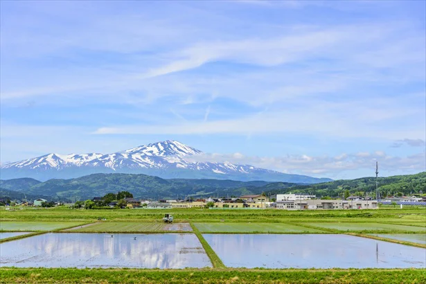 庄内平野から望む鳥海山