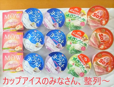 カップアイスだけ並べてみてもすごい数です。5種類3個ずつで合計15個も入っています