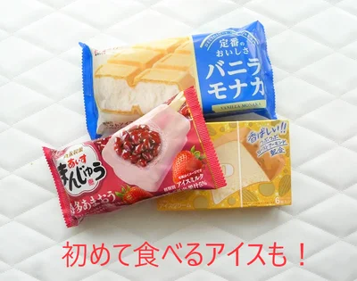 いつものアイスなのに、初めてのフレーバーも発見。とにかくいろんな種類が入っています