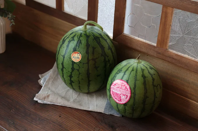茨城県のこだますいかの新品種「ピノガール」