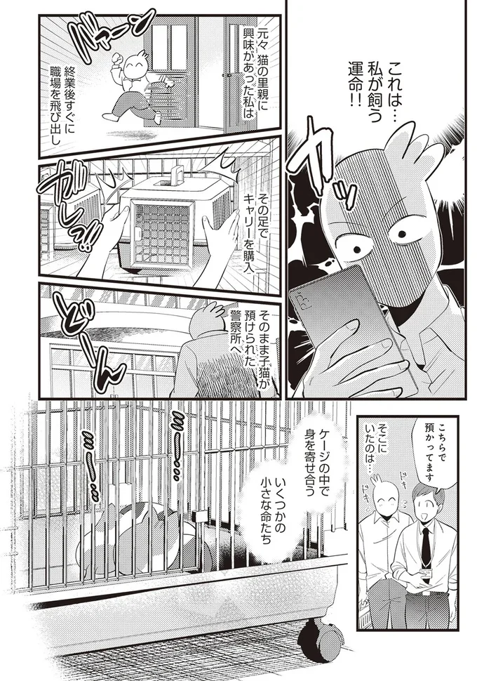 これは私が飼う運命!