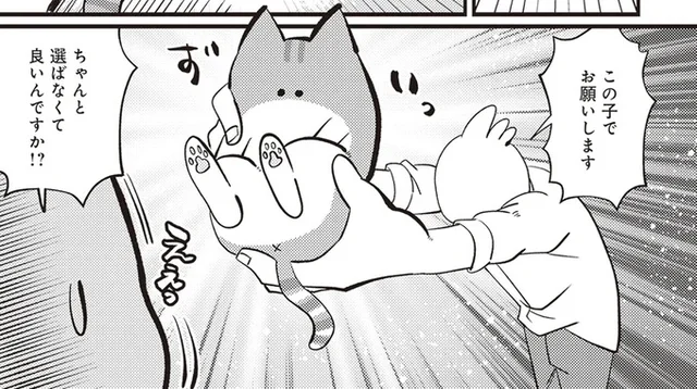 「猫あるある」がいっぱい！SNSで話題の猫漫画「レオとシロウのドタバタ猫日記」秀さんインタビュー
