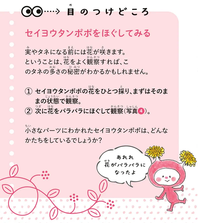 目のつけどころ