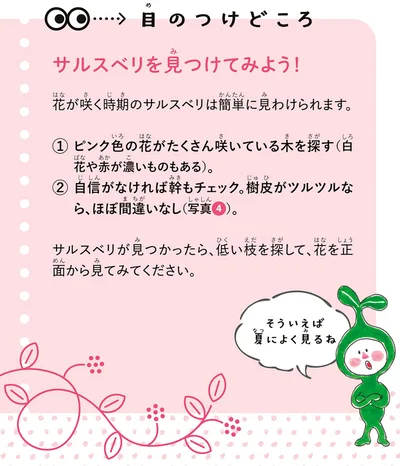 目のつけどころ