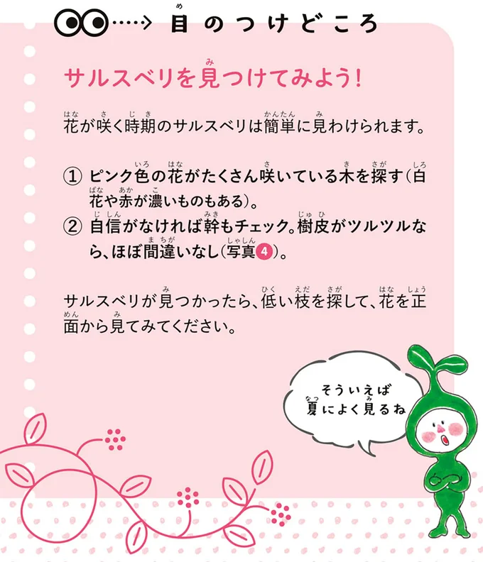 目のつけどころ