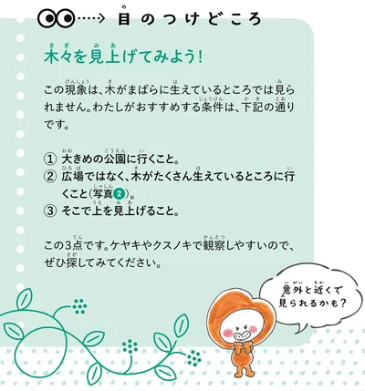 目のつけどころ