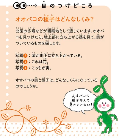 目のつけどころ