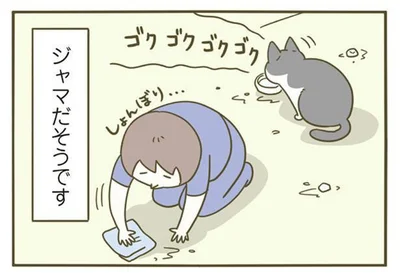 ジャマだそうです