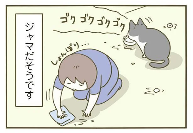 ジャマだそうです