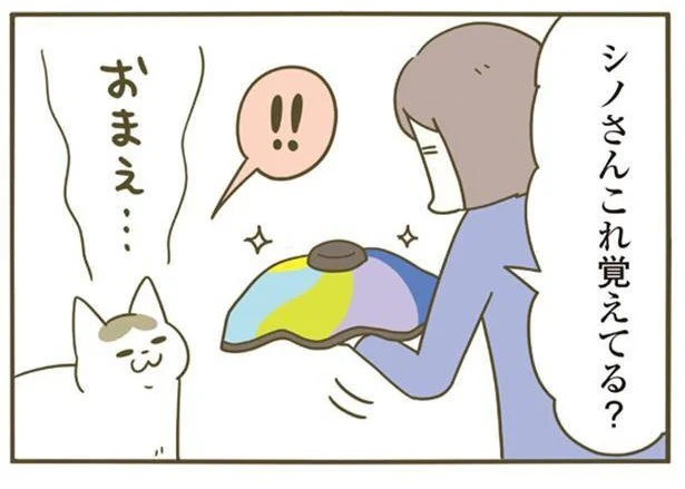 これ覚えてる？