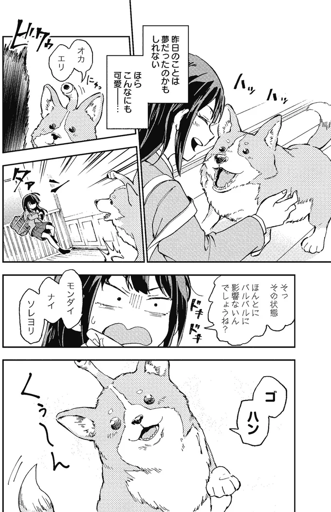 夢だったのかもしれない