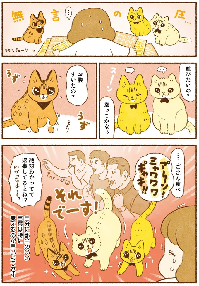 絶対わかってて返事してるよね！？