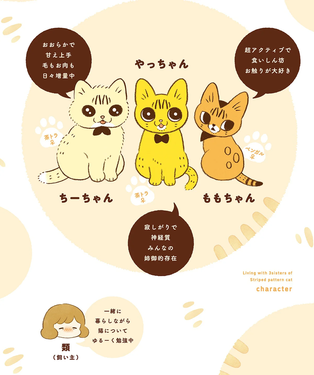 なぜだろう、悪い気はしない。飼い主のものばかり欲しがる猫ちゃんズ