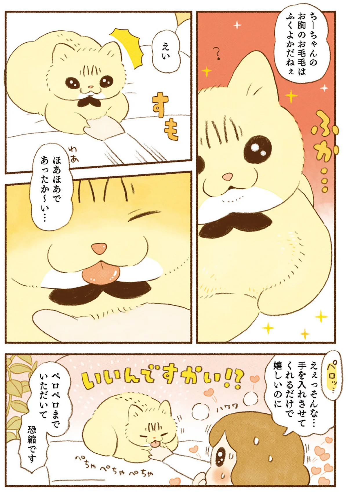 猫も人もスキマが大好き！ あったかい幸せがあふれる魅惑の空間／しま