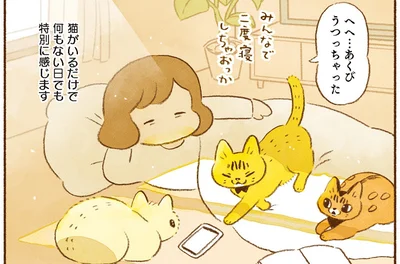 猫がいるだけで何もない日でも特別に感じます