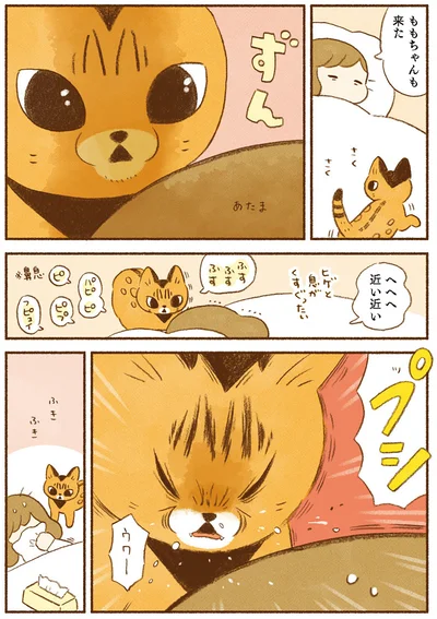 ももちゃんも来た
