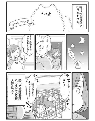 完璧だけどアホな兄の好きなものは・・・