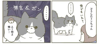 どうしたトンちゃん、虫でもいた？