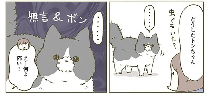 どうしたトンちゃん、虫でもいた?