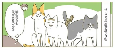 脚の長さも差があるのかな