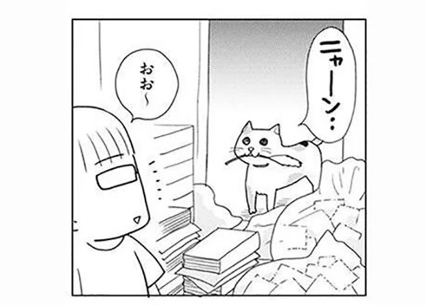 「私と遊びに来たんでしょ？」片付け中にやってくる猫、どうすれば!?／二度と散らからない部屋になりました（7）