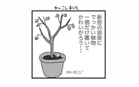 せっかく買った植物が枯れちゃった〜！を防ぐ驚きの「水やりセンサー」