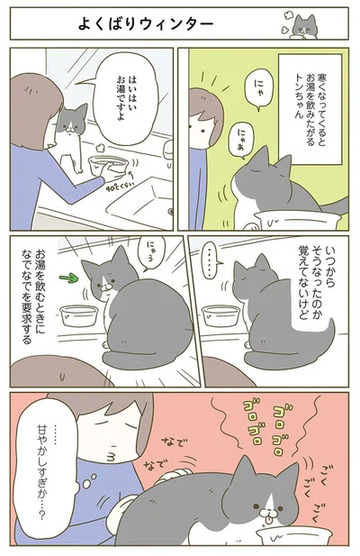 よくばりウィンター