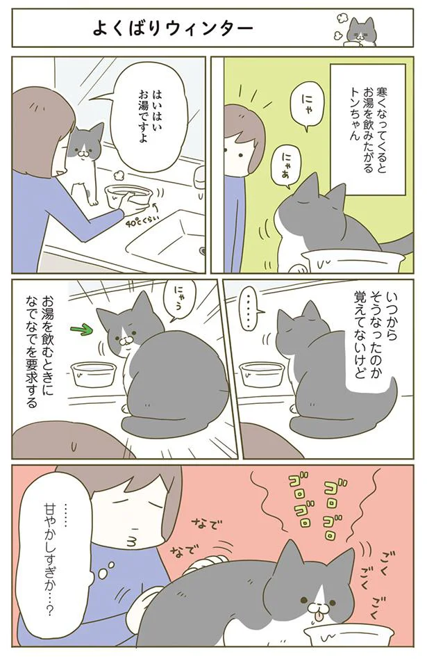 よくばりウィンター