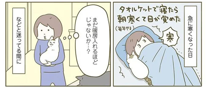 まだ暖房入れるほどじゃないか...？