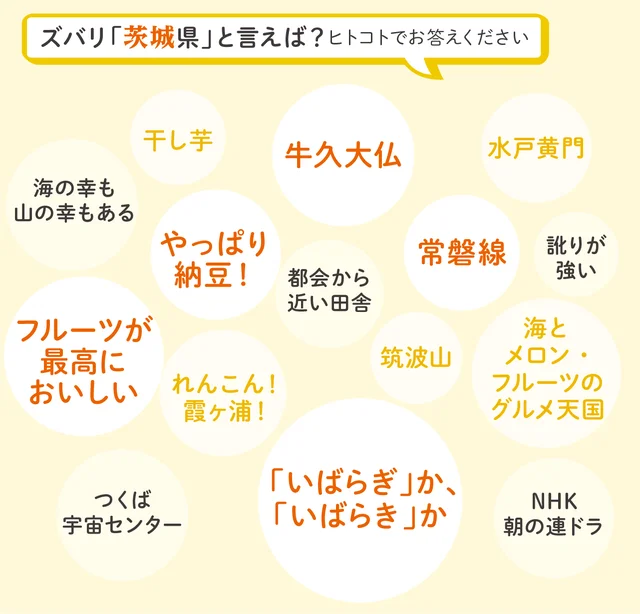 178人が熱烈回答！「ズバリ茨城県といえば？」「県民あるある」「茨城グルメ」「イチオシふるさと納税返礼品」茨城にまつわる大調査！