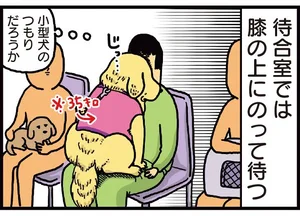 病院嫌いの犬を無慈悲に連れて行く！ 終わった瞬間の勇ましさは一体何？／まめきちまめこニートの日常 こまちとタビ（1）
