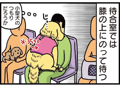 小型犬のつもりだろうか