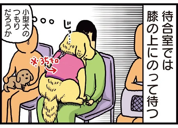 小型犬のつもりだろうか